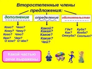 Как в русском языке подчеркивается прилагательное существительное